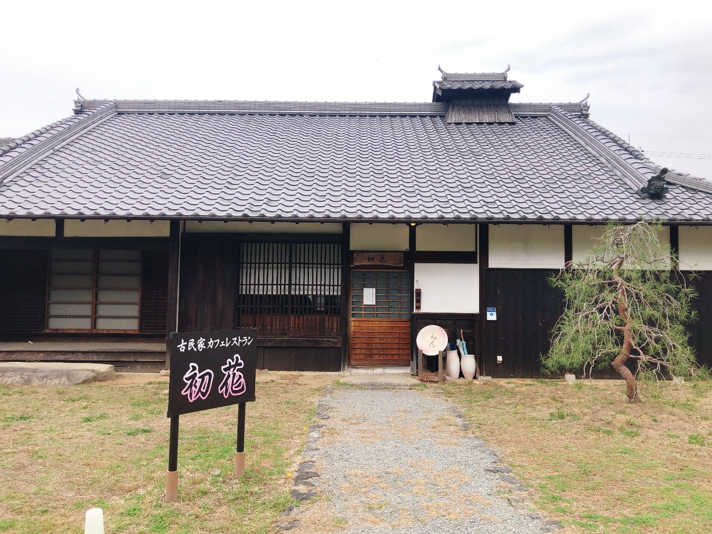 Hatsuhana Lunch