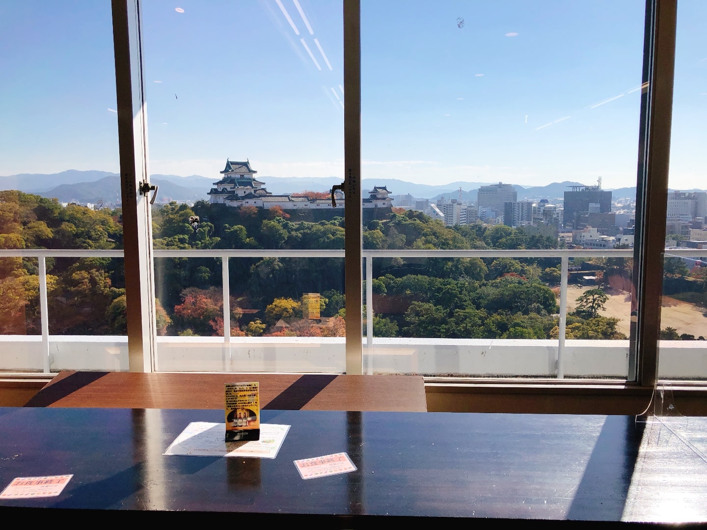 Wakayama Castle from the 14th floor