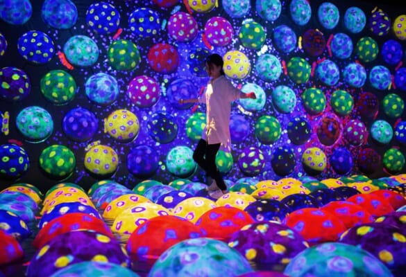 teamLab Forest Fukuoka