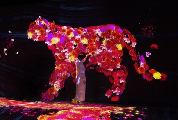 teamLab Forest Fukuoka