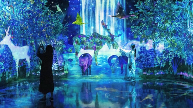 teamLab Forest Fukuoka