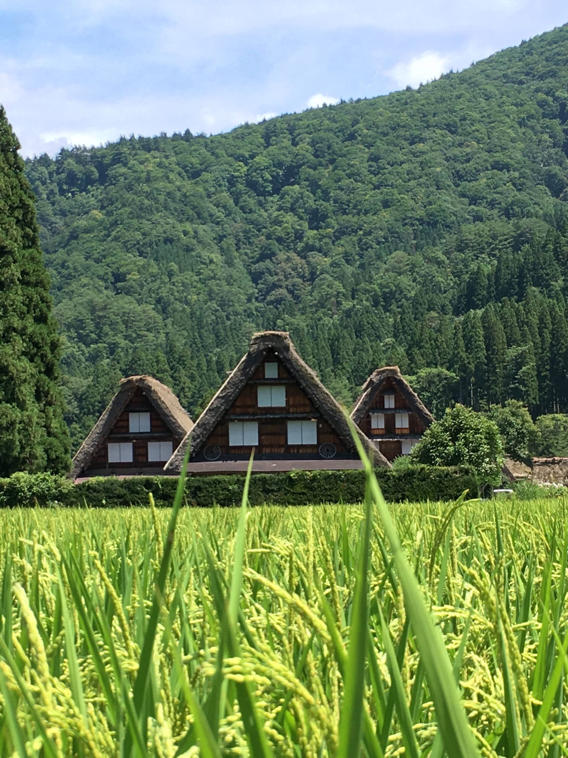 Shirakawago