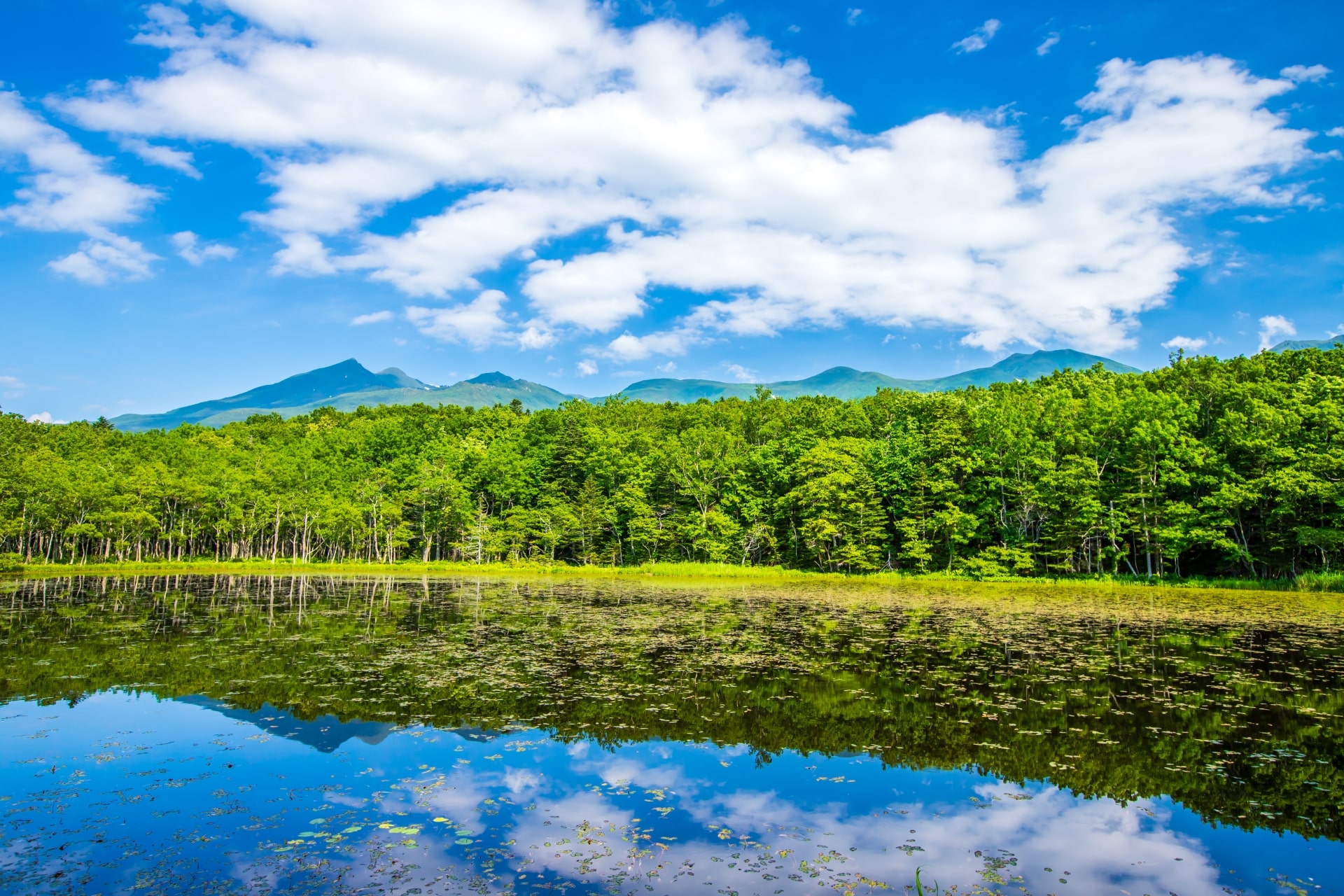 Shiretoko National Park