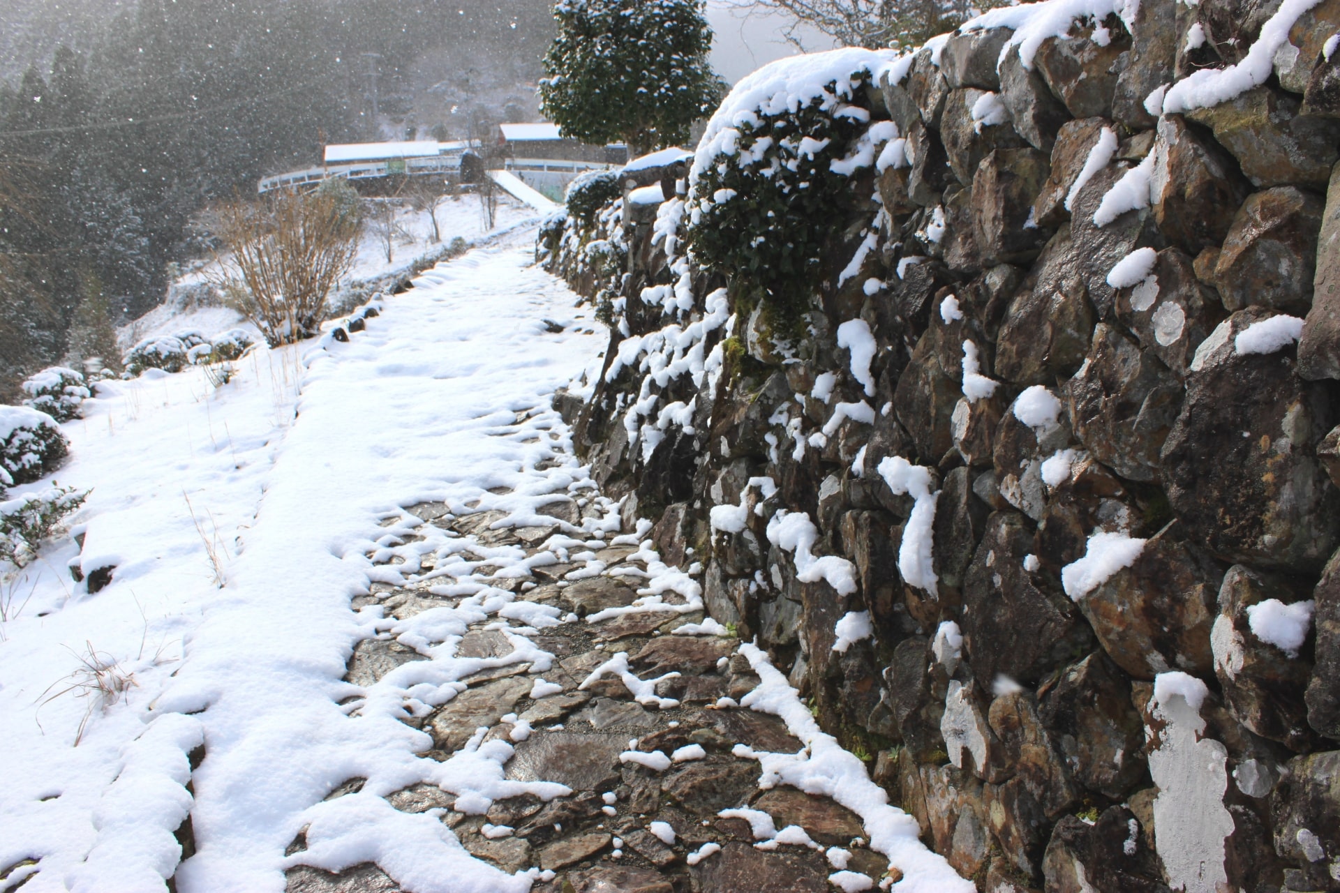 Kumano Kodo in Winter