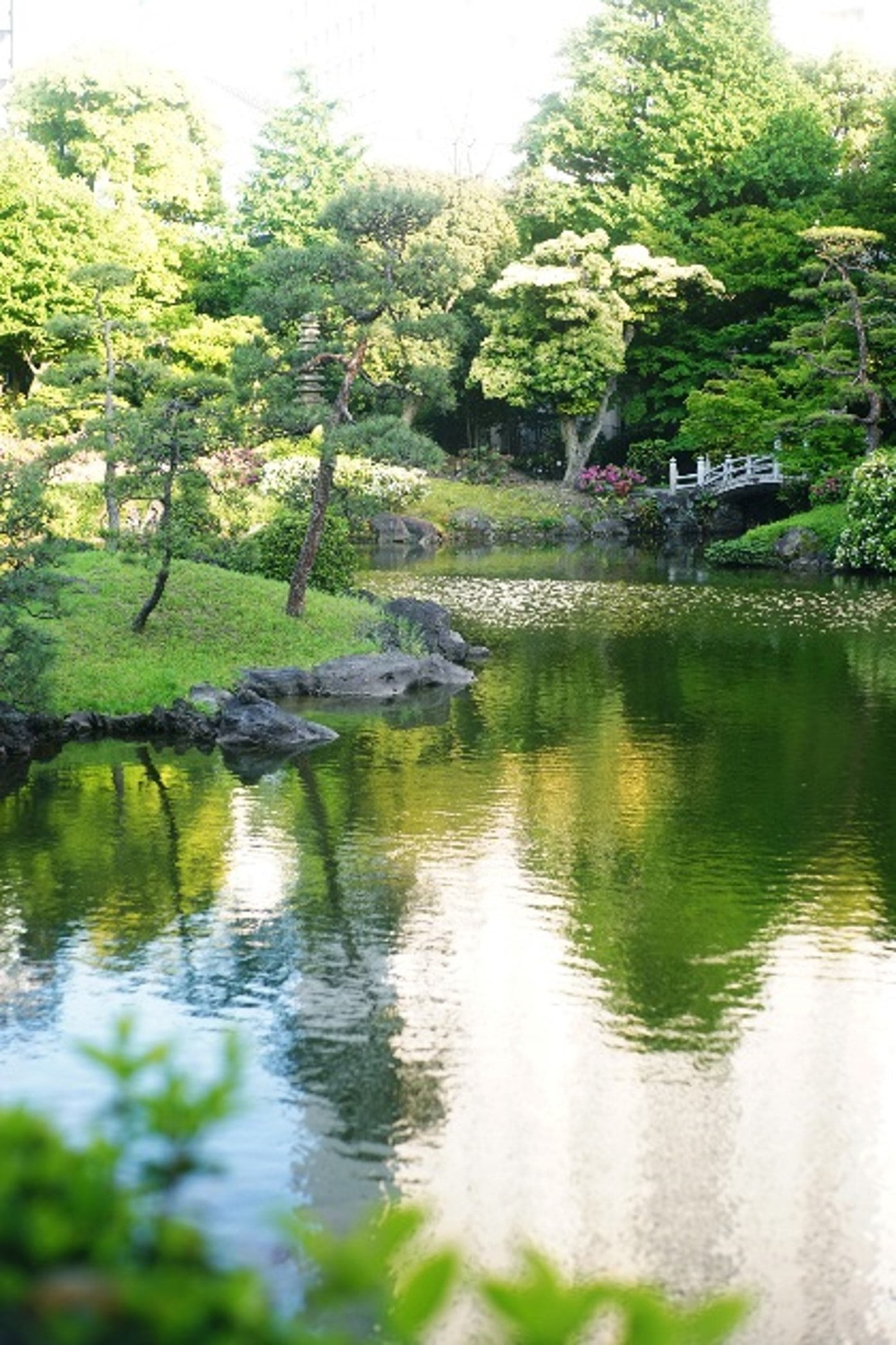 Tidal Strolling Garden