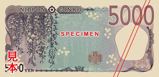 back of new 5,000 yen note with an illustration of wisteria flowers