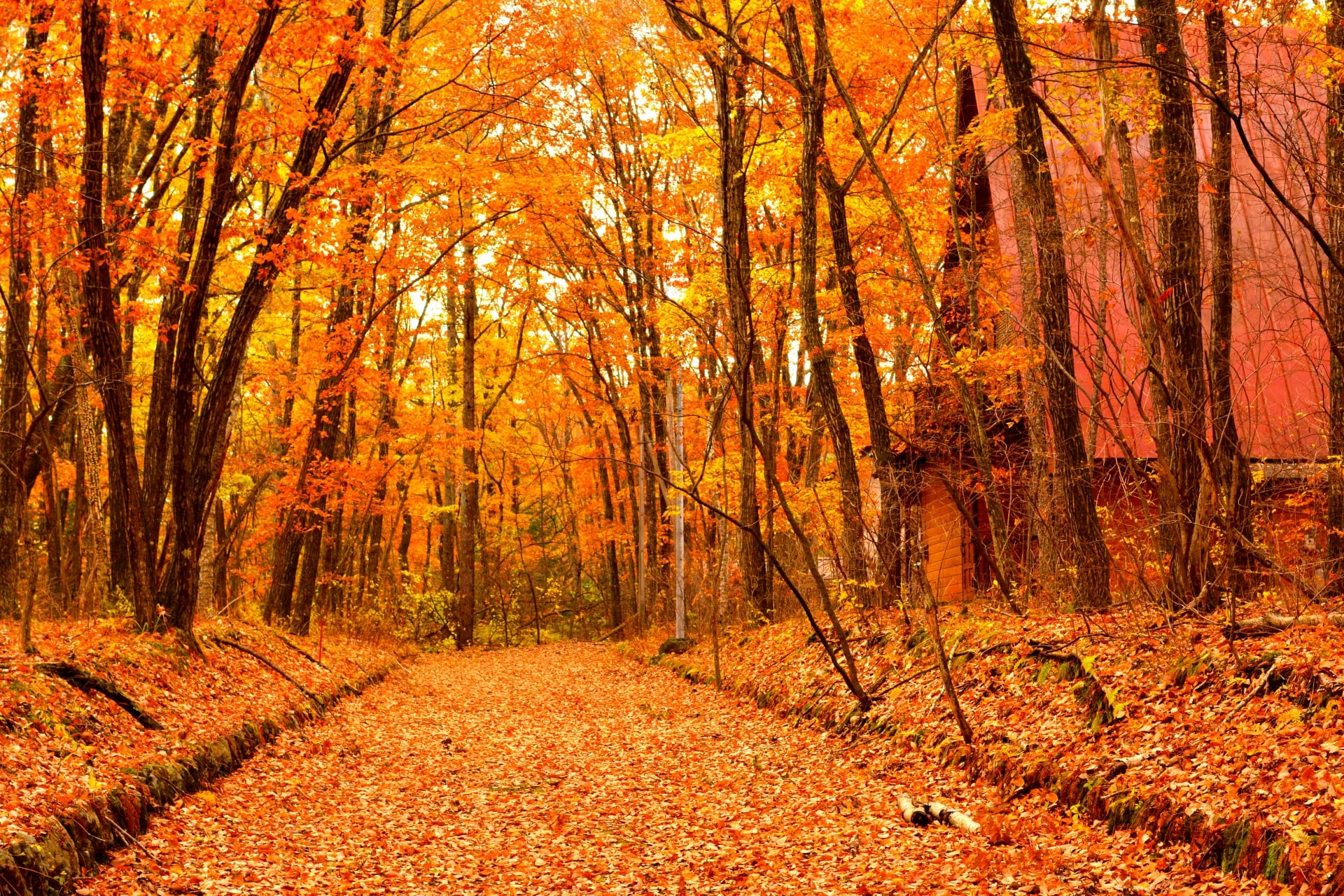 Autumn in Karuizawa