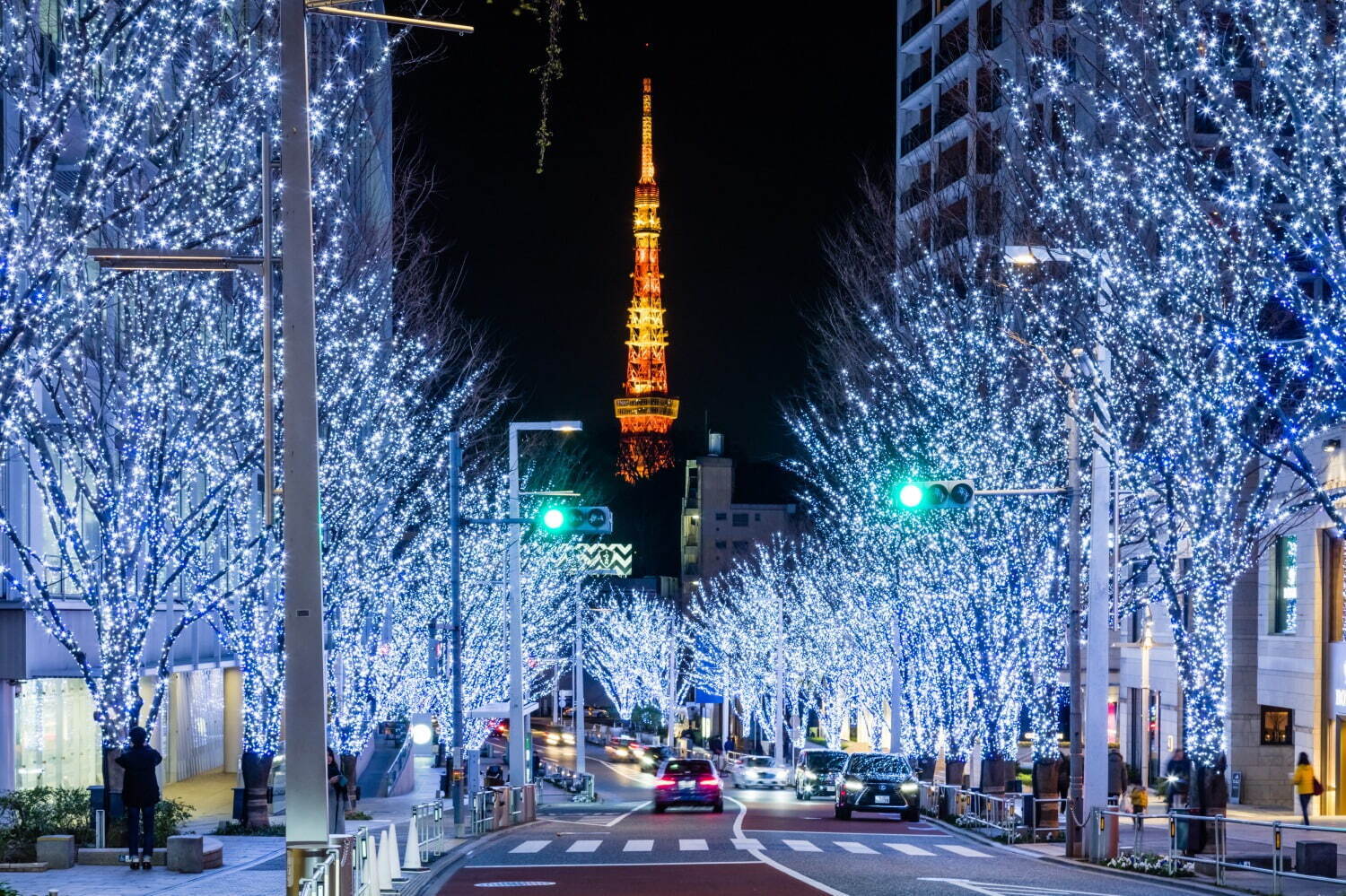 Roppongi Illumination