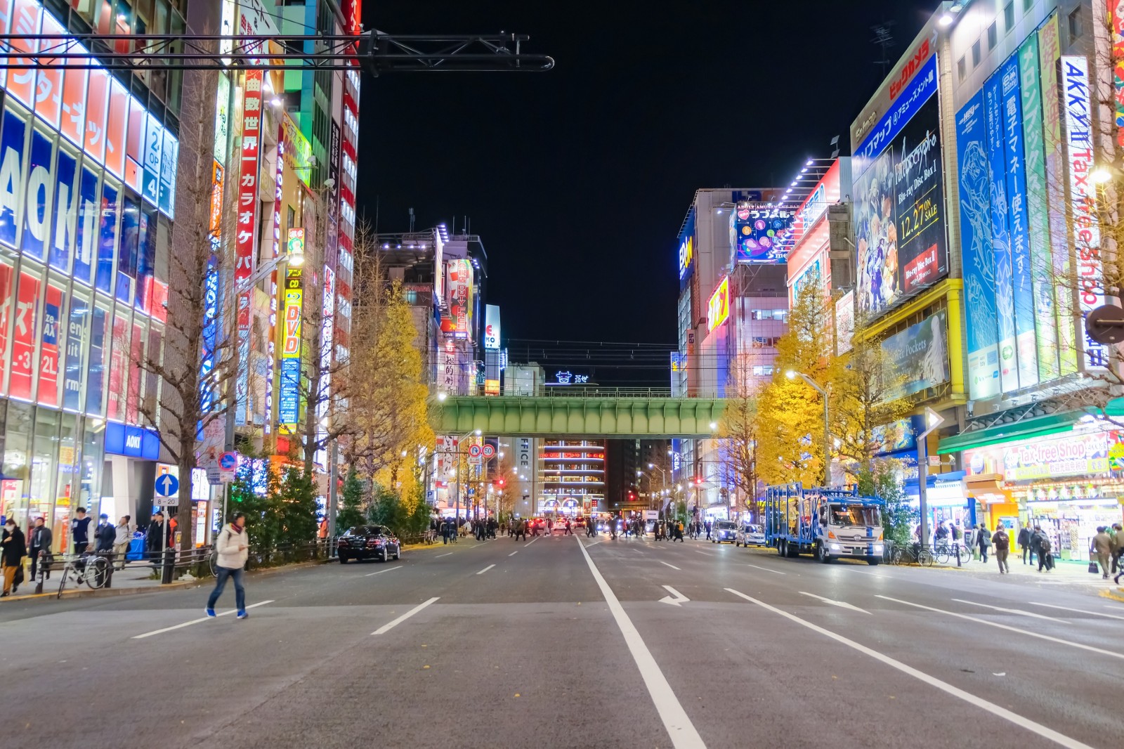 Best restaurants in Akihabara, Tokyo