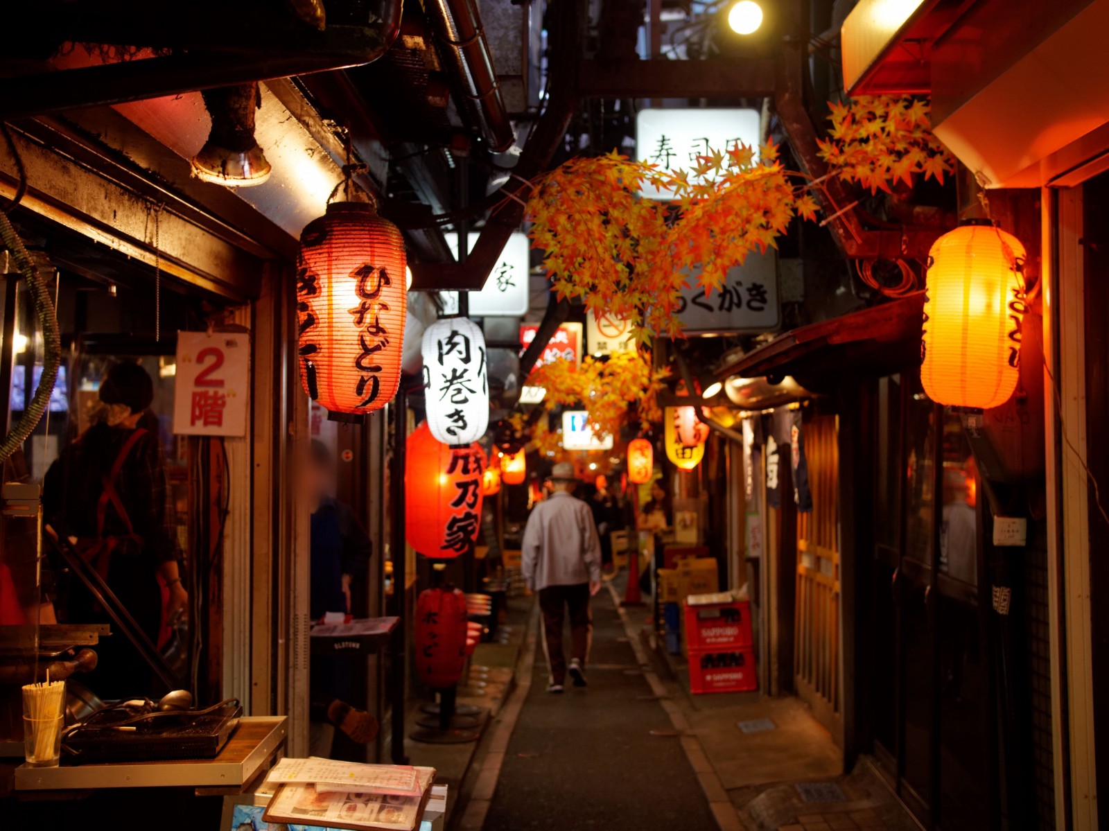 Traditional Japanese style Izakaya Alley