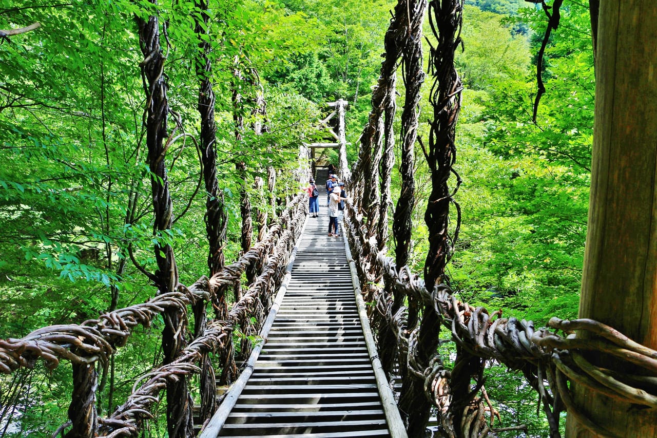 德島