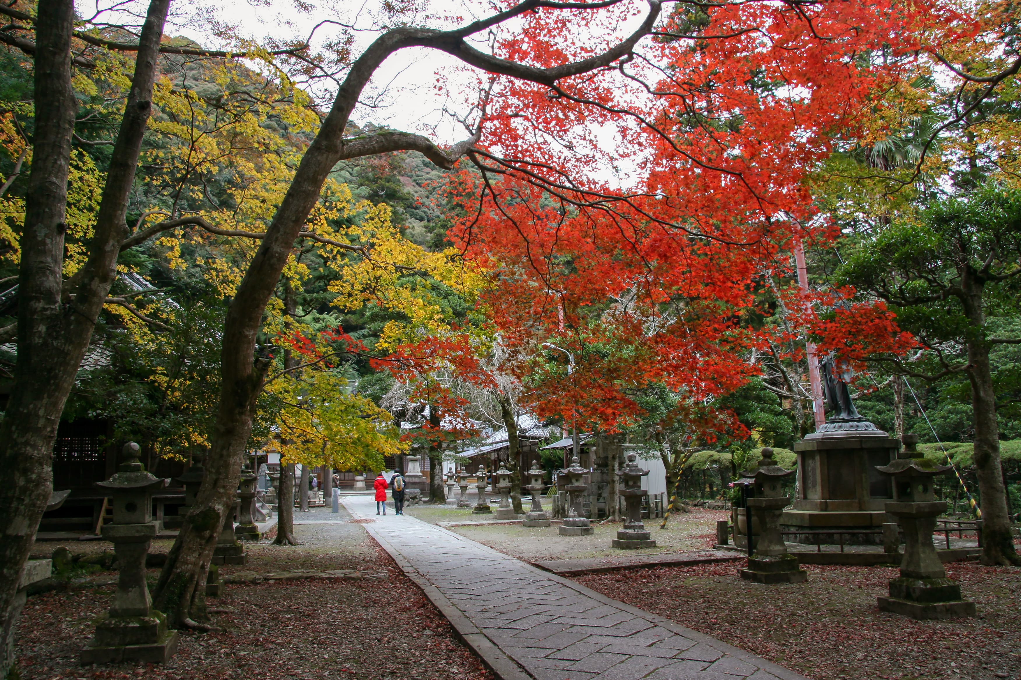 Ryuanji Temple