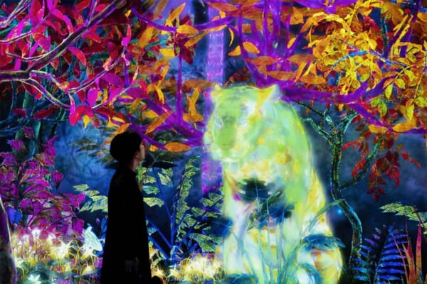 teamLab Forest Fukuoka