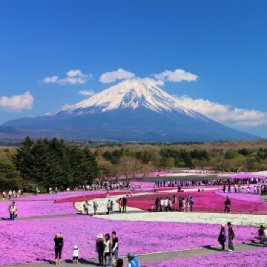 富士山